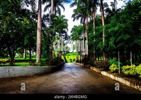 Le Breataking et le magnifique parc national de Farley Hill; Farley Hill; St. Peter; Barbade; Caraïbes Banque D'Images