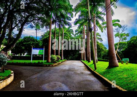 Le Breataking et le magnifique parc national de Farley Hill; Farley Hill; St. Peter; Barbade; Caraïbes Banque D'Images