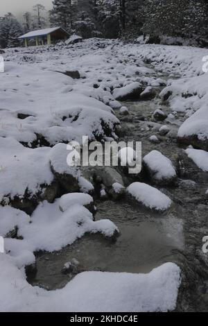 le ruisseau de montagne qui traverse la neige couvrait la vallée de yumthang en hiver, dans le nord de sikkim, en inde Banque D'Images
