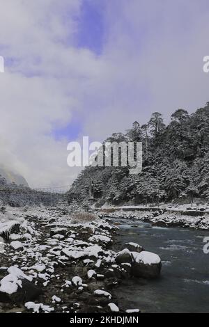 la belle rivière lachung qui coule dans la neige couvrait la vallée de yumthang en hiver, dans le nord de sikkim, en inde Banque D'Images
