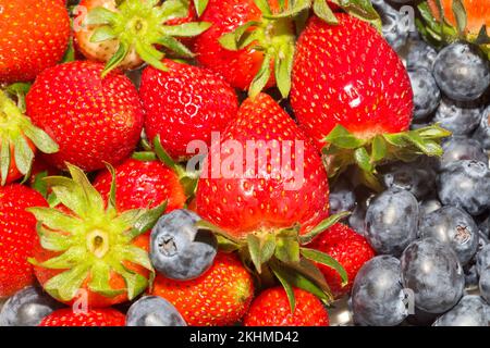 Gros plan de fraises juteuses rouges et de bleuets Banque D'Images