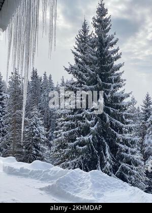 Belle vue sur le paysage hivernal enneigé dans les montagnes Rhodope en Bulgarie Banque D'Images