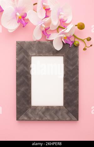 Cadre sur fond rose avec orchidée avec place pour le texte. Photo de haute qualité Banque D'Images