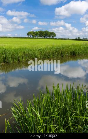 Le canal de Bridgwater et Taunton dans la campagne à Creech St Michael, Somerset, Angleterre. Banque D'Images