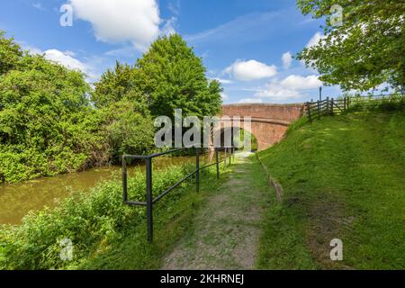 Le chemin de remorquage à côté du canal de Bridgwater et de Taunton menant au pont routier de A361 à Outwood, Somerset, Angleterre. Banque D'Images