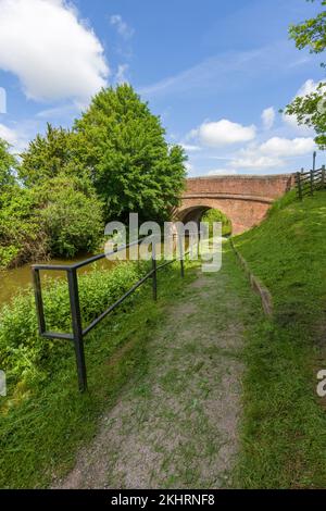 Le chemin de remorquage à côté du canal de Bridgwater et de Taunton menant au pont routier de A361 à Outwood, Somerset, Angleterre. Banque D'Images