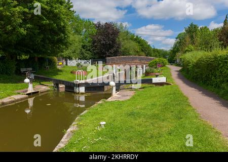 Lower Maunsel Lock sur Bridgwater et Taunton Canal, Somerset, Angleterre. Banque D'Images