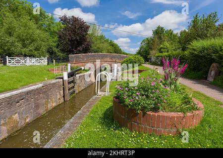 Lower Maunsel Lock sur Bridgwater et Taunton Canal, Somerset, Angleterre. Banque D'Images