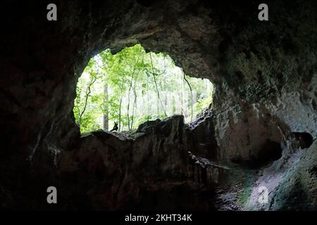 grotte pittoresque de linea dans le parc national de los haïtiens en république dominicaine Banque D'Images