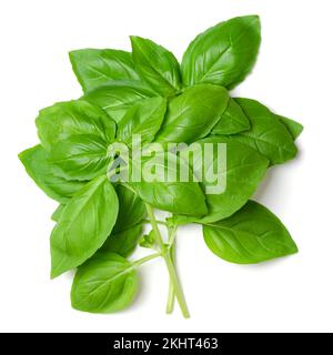 Bouquet de basilic frais doux, d'en haut. Aussi connu sous le nom de grand basilic ou génovese, l'Ocimum basilicum, une herbe culinaire de la famille des lamiaceae à la menthe. Banque D'Images