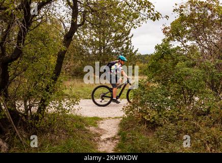 Vue latérale du cycliste expert en utilisant la technique de panoramique . Le Mountainbiker dans la forêt de Basovizza se déplace le long du sentier dans la forêt d'automne. Trie Banque D'Images