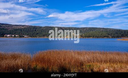 Lac Abant en automne. Parc national d'Abant - Bolu, Turquie Banque D'Images