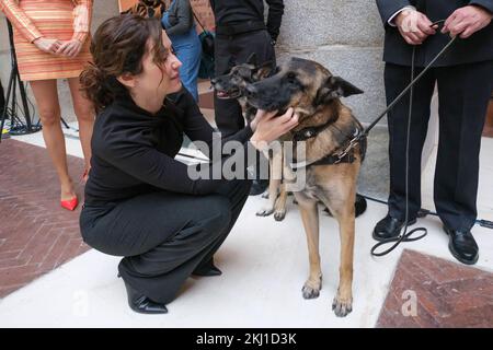 Madrid, Espagne. 24th novembre 2022. Présidente de la communauté de Madrid, Isabel Díaz Ayuso a vu à la "adopter une campagne de héros à 4 pattes" à Casa Real de correos. Crédit : SOPA Images Limited/Alamy Live News Banque D'Images