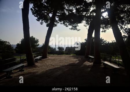 Terrasse avec bancs bordés de pins maritimes dans un parc au bord de la mer Banque D'Images