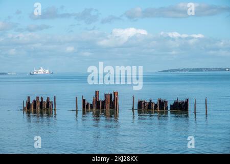 Squelette de l'ancienne jetée à Keyhaven et Lymington nature Reserve Hampshire Angleterre avec le ferry et l'île de wight en arrière-plan Banque D'Images