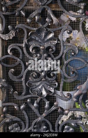 Portes en fer forgé, forgeage ornemental, éléments forgés gros plan Banque D'Images