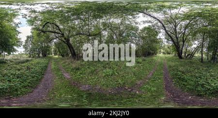 Vue panoramique à 360° de vue panoramique du hdri 360 sphérique sans couture sur le sentier de randonnée pédestre et à vélo parmi les buissons de la forêt en projection équirectangulaire, prêt à l'emploi
