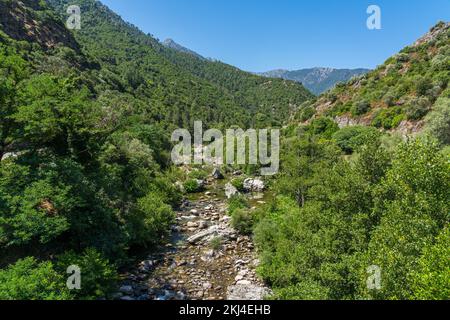 La belle rivière Golo près de la ville de Corte, en Corse, France. Banque D'Images