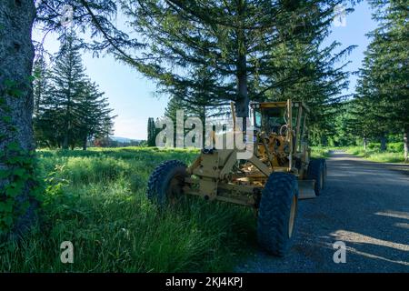 Un tracteur est installé seul parmi les arbres du parc Spruces à Williamstown, ma. Banque D'Images
