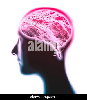 Neurologie, philosophie : connexions, développement de la pensée et de la réflexion, possibilités infinies du cerveau et de l'esprit. Face anatomique humaine Banque D'Images