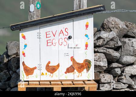 Agriculteur vendant des œufs de la gamme libre à partir d'une boîte d'honnêteté au bout d'une allée de ferme. Cumbria, Royaume-Uni. Banque D'Images