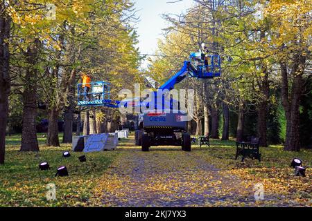 Des hommes au travail mettent des lumières de fées sur une avenue des arbres de Gingko Biloba, Bute Park, Cardiff. Pris en novembre 2022. Hiver / automne. Banque D'Images