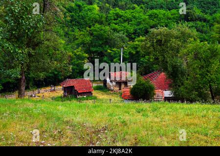 Rural, un vieux foyer avec des maisons en ruine, au milieu d'une nature luxuriante. Une route de campagne à côté d'une cour clôturée et d'un pré vert au-dessus de la maison Banque D'Images