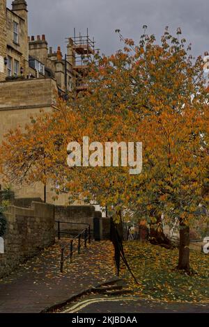 L'automne à Sydney Gardens Bath Banque D'Images