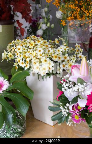 Pâquerettes et fleurs assorties prêtes à la vente, chez un fleuriste. Banque D'Images
