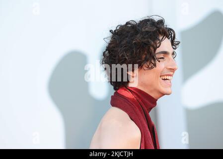 (KIKA) - VENEZIA - Ãˆ la grande serata di Timothée Chalamet e Luca Guadagnno sul Red Carpet di Bones and All, il film di cui l'attore Ã¨ protagonista con Chloe Sevigny, Mark Rylance e Taylor Russell.Â LEGANCHE:Â Venezia 79, GI l'arrivo trionfale di Timothée Chalamet al LidoChalamet Ã¨ il re del tapis rouge, con il competo rosso creato su misura pe lui daÂ Haider Ackermann: Pantaloni in pelle e camicia che lasciaÂ la schiena nuda. Sullo schermo ma aceh sul taepto rosso, Timothée non sbaglia un colpo.Â d'Impatto anche i look delle co-protagoniste: Chloe Sevigny in un découpe robe nero con sp Banque D'Images