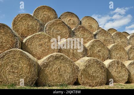 Balles rondes entreposées dans un champ après la récolte, Saxe-Anhalt, Allemagne, Europe Banque D'Images