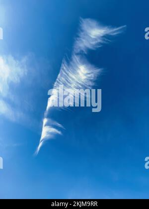 Nuage de plumes Cirrus Zirrus, nuage de glace à haute altitude, image de nuage comme hippocampe, Allemagne, Europe Banque D'Images