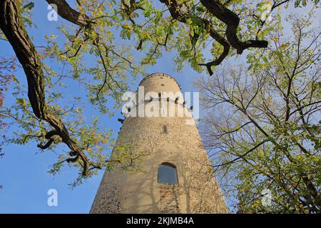 Vue sur la tour du Godesburg, Bad Godesberg, Bonn, Rhénanie-du-Nord-Westphalie, Allemagne, Europe Banque D'Images