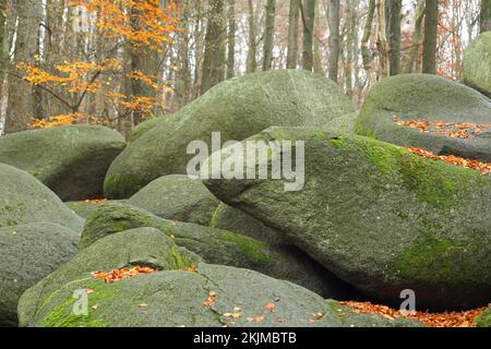 Formation de roches dans la forêt d'automne, pierres, rochers, mousses, figure de pierre, Figurine, personnage, nature, felsenmeer, Lautertal, Hesse, Odenwald, Allemagne, Euro Banque D'Images