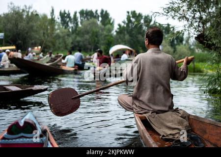 Inde, Srinagar, 2022-07-29. Un homme place son bateau sur le marché flottant de Srinagar pour vendre ses légumes. Photographie par Alexander BEE / Hans Lucas. Banque D'Images