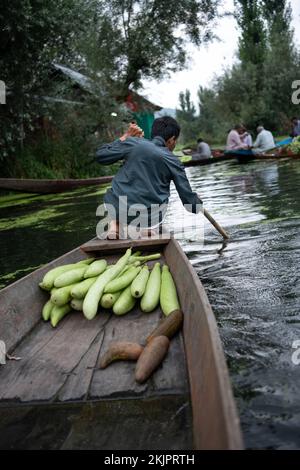 Inde, Srinagar, 2022-07-29. Un homme place son bateau sur le marché flottant de Srinagar pour vendre ses légumes. Photographie par Alexander BEE / Hans Lucas. Banque D'Images