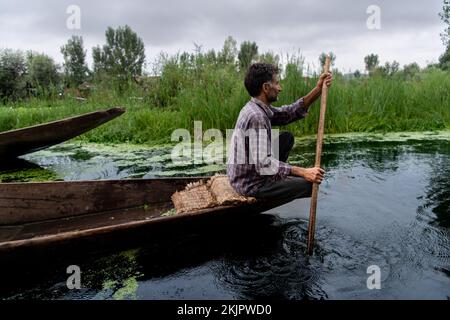 Inde, Srinagar, 2022-07-29. Un homme place son bateau sur le marché flottant de Srinagar pour vendre ses légumes. Photographie par Alexander BEE / Hans Lucas. Banque D'Images