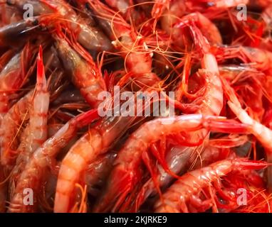 Crevettes fraîches crues sur un marché au poisson Banque D'Images