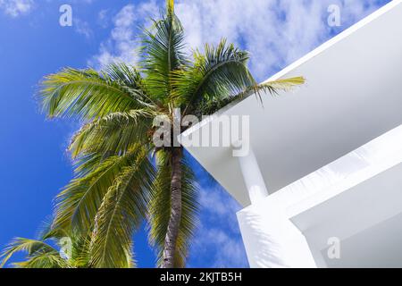 Extérieur de la maison blanche et palmier sous ciel bleu nuageux par une journée ensoleillée. Résumé arrière-plan minimal de l'architecture Banque D'Images
