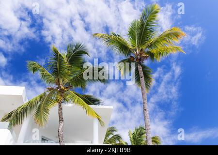 Les palmiers près de la villa blanche sont sous le ciel bleu nuageux par une journée ensoleillée. Résumé arrière-plan minimal de l'architecture Banque D'Images