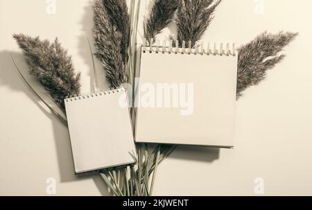 Papier vierge, feuilles de bloc-notes sur fond beige, vue du dessus. Maquette de papier avec pampas sec herbe avec l'ombre et la lumière du soleil tendance Banque D'Images