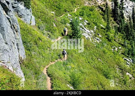 Trekking à travers les myrtilles et les myrtilles dans la nature sauvage de Glacier Peak, North Cascades, Pacific Crest Trail, Washington, États-Unis Banque D'Images