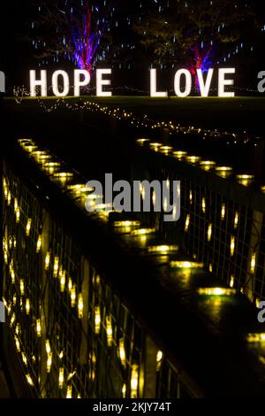 Hope Love - des sentiers lumineux aux jardins Sir Harold Hillier à Romsey, Hampshire, Royaume-Uni, en novembre Banque D'Images