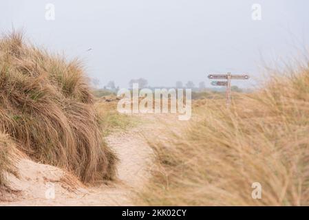 Winterton dunes, Norfolk ii avec panneau Norfolk Coast Path. Winterton, mai 2022 Banque D'Images