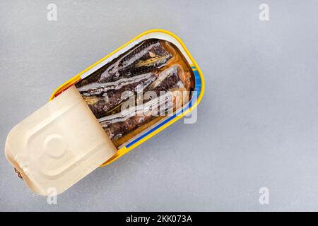 Sardines en conserve sur gris avec espace de copie Banque D'Images