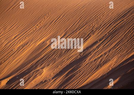Motifs dans les dunes de sable du désert du Namib au lever du soleil, en Namibie, Afrique Banque D'Images