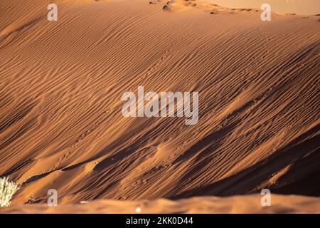 Motifs dans les dunes de sable du désert du Namib au lever du soleil, en Namibie, Afrique Banque D'Images
