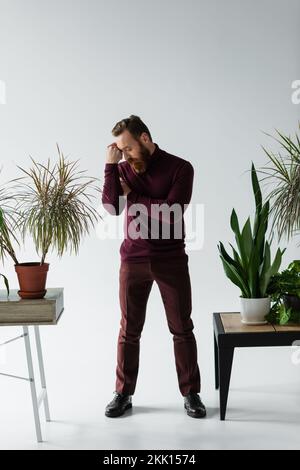 Pleine longueur d'homme barbu élégant posant près des plantes sur fond gris, image de stock Banque D'Images