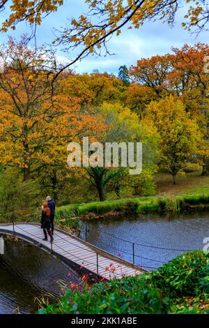 Deux visiteurs sur un pont au-dessus du lac avec la couleur d'automne à Stourhead Gardens, Wiltshire, Angleterre, Royaume-Uni Banque D'Images