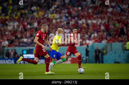 Doha, Qatar. 24th novembre 2022. Richarlison (Brasilien), Strahinja Pavlovic (Serbie), Sasa Lukic (Serbie) Brésil - Serbie coupe du monde 2022 au Qatar 24,11 Banque D'Images